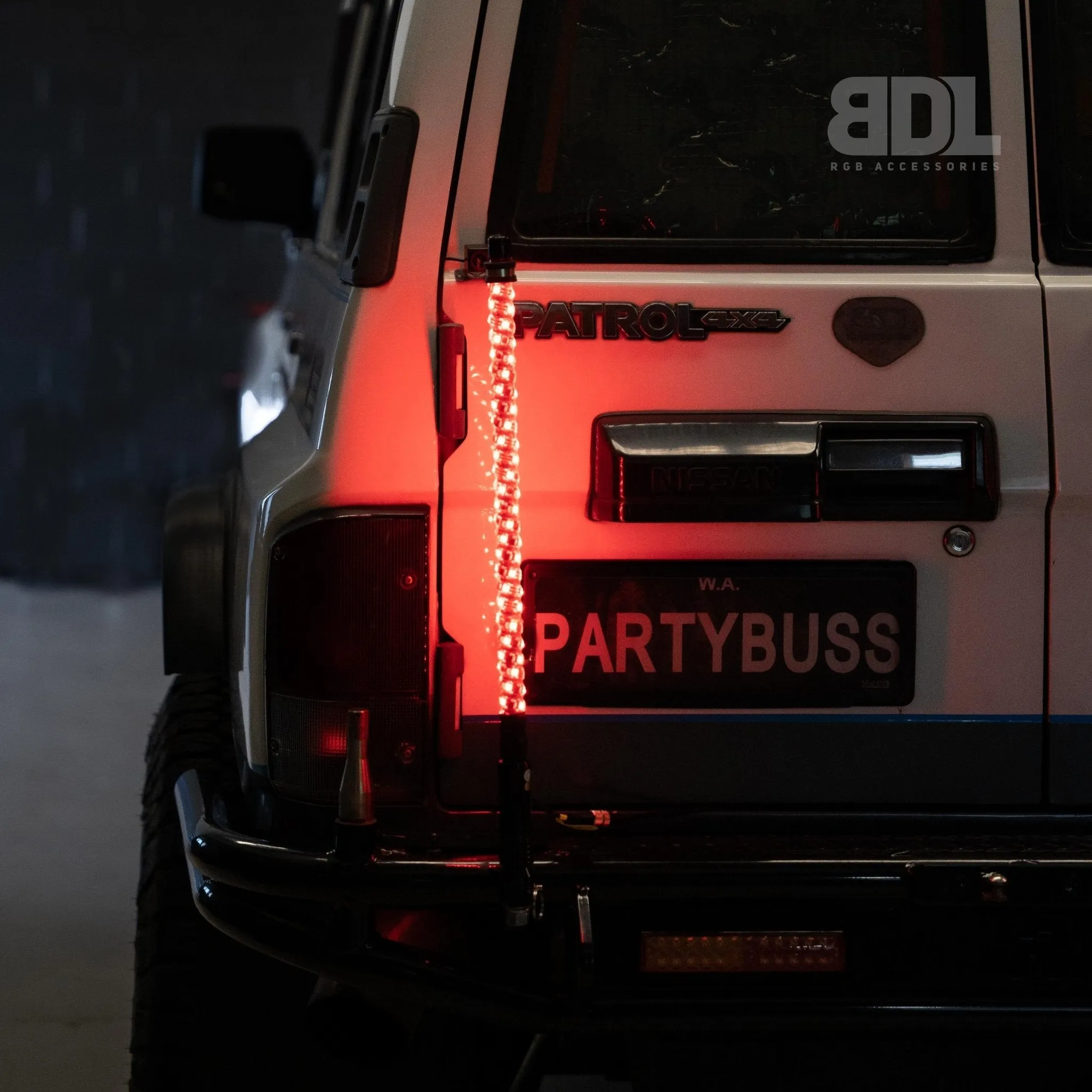2ft LED Whip Lights
