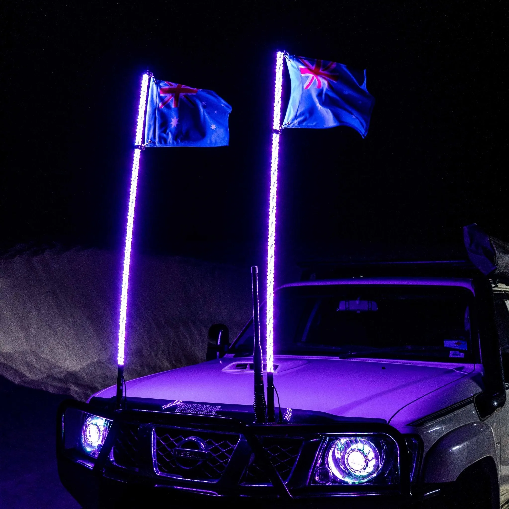 6ft LED Whip Lights