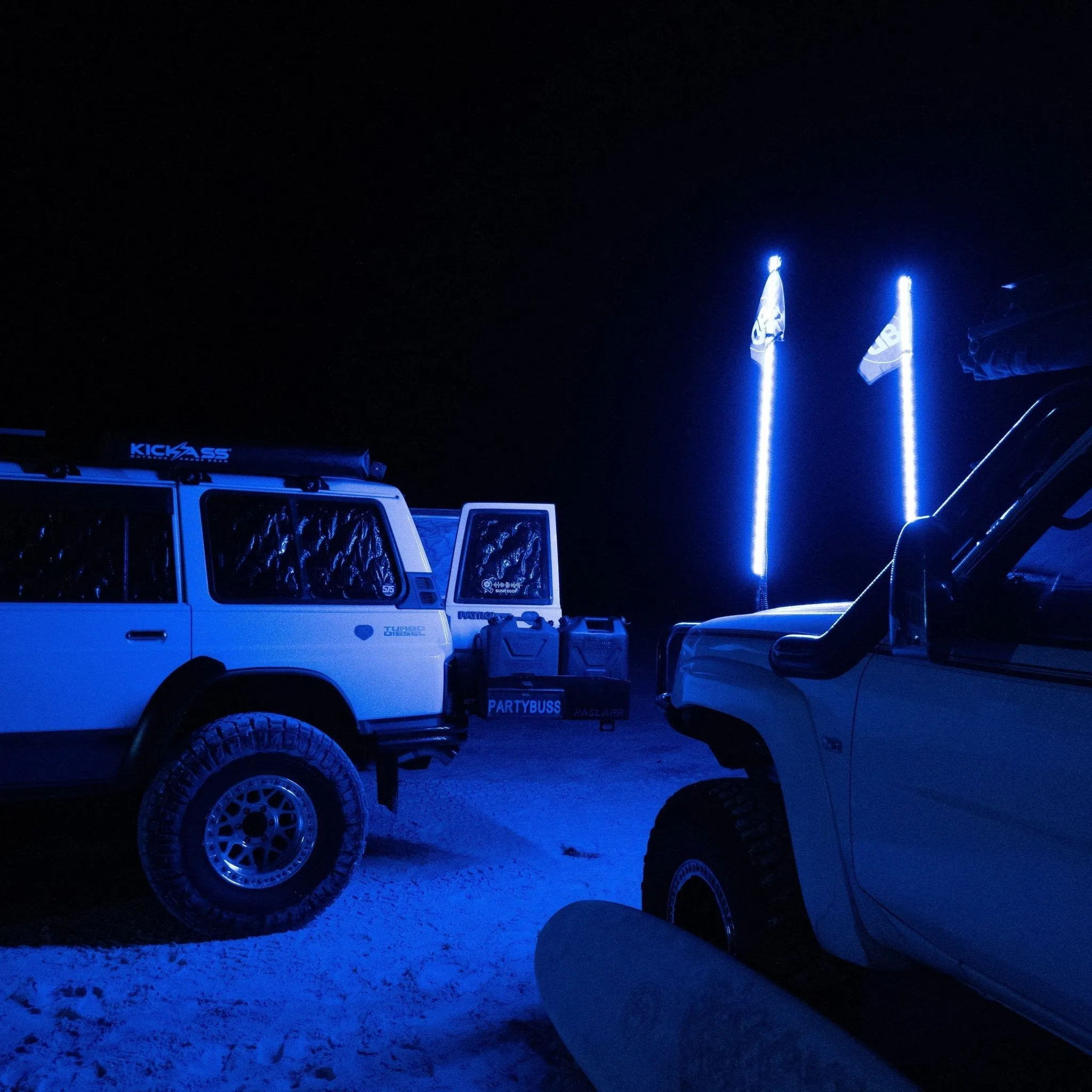 6ft LED Whip Lights