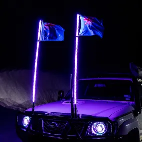 6ft LED Whip Lights
