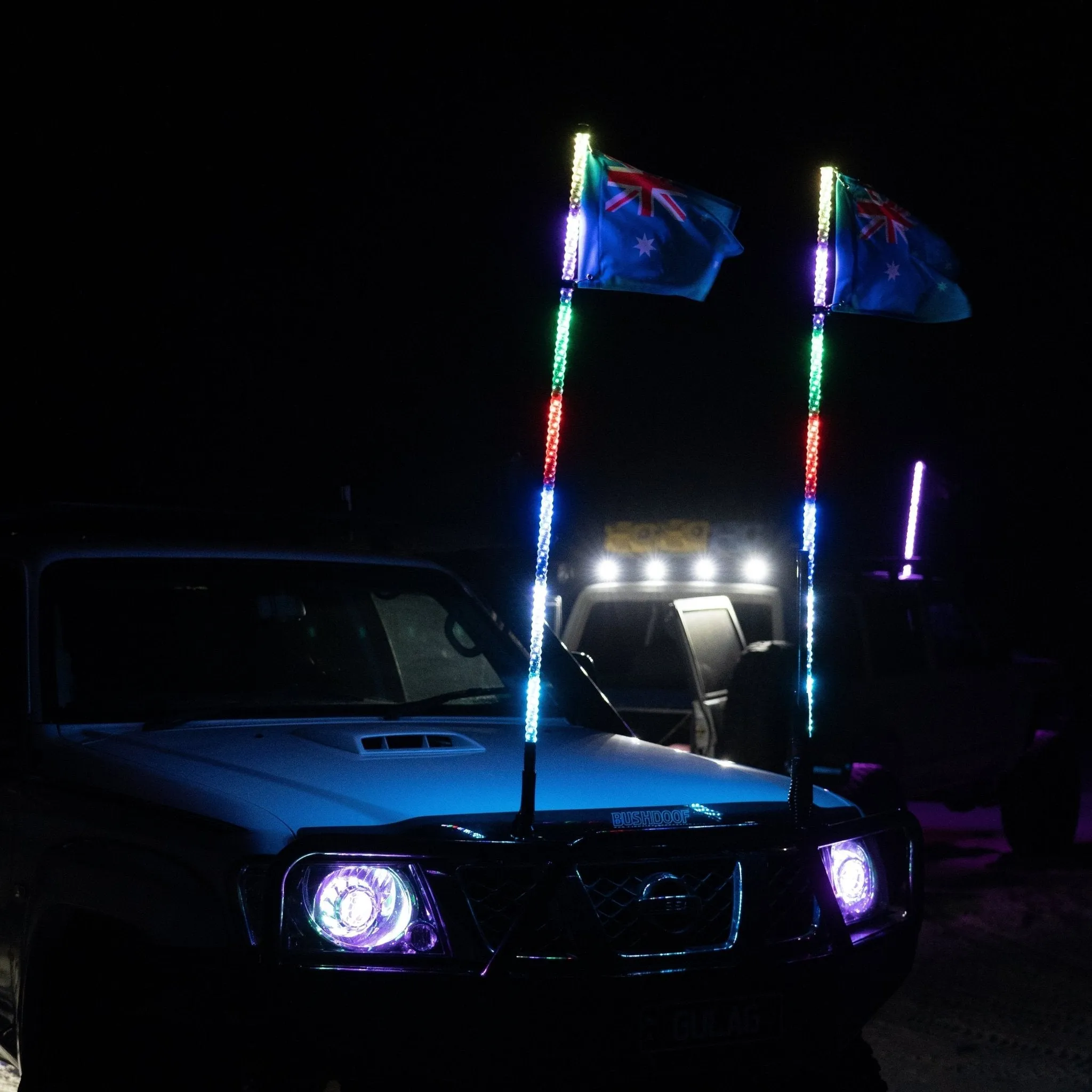 6ft LED Whip Lights