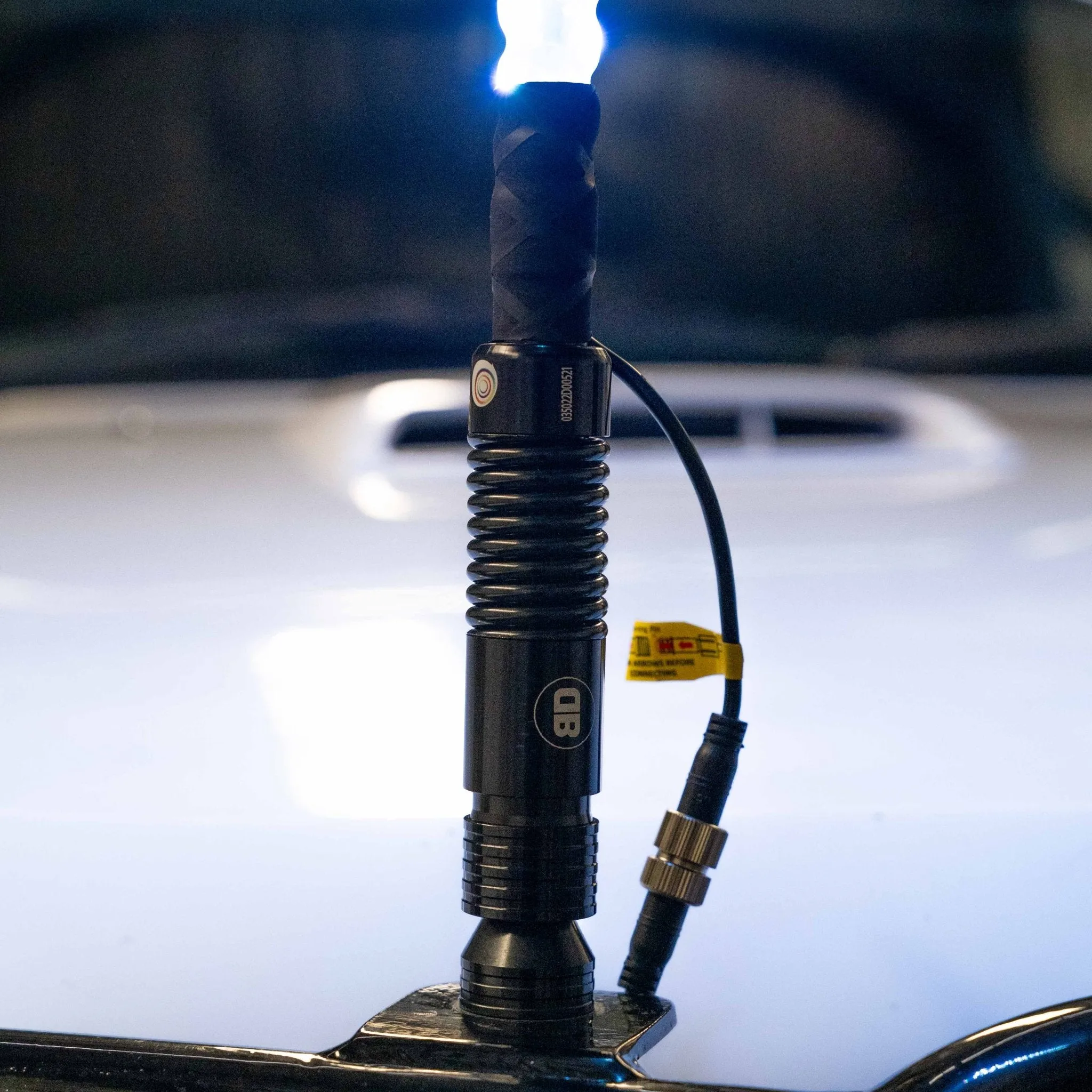 6ft LED Whip Lights