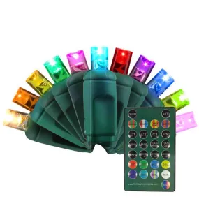 Celebrations Platinum LED Micro/5mm RGB 50 ct String Christmas Lights 24.5 ft.