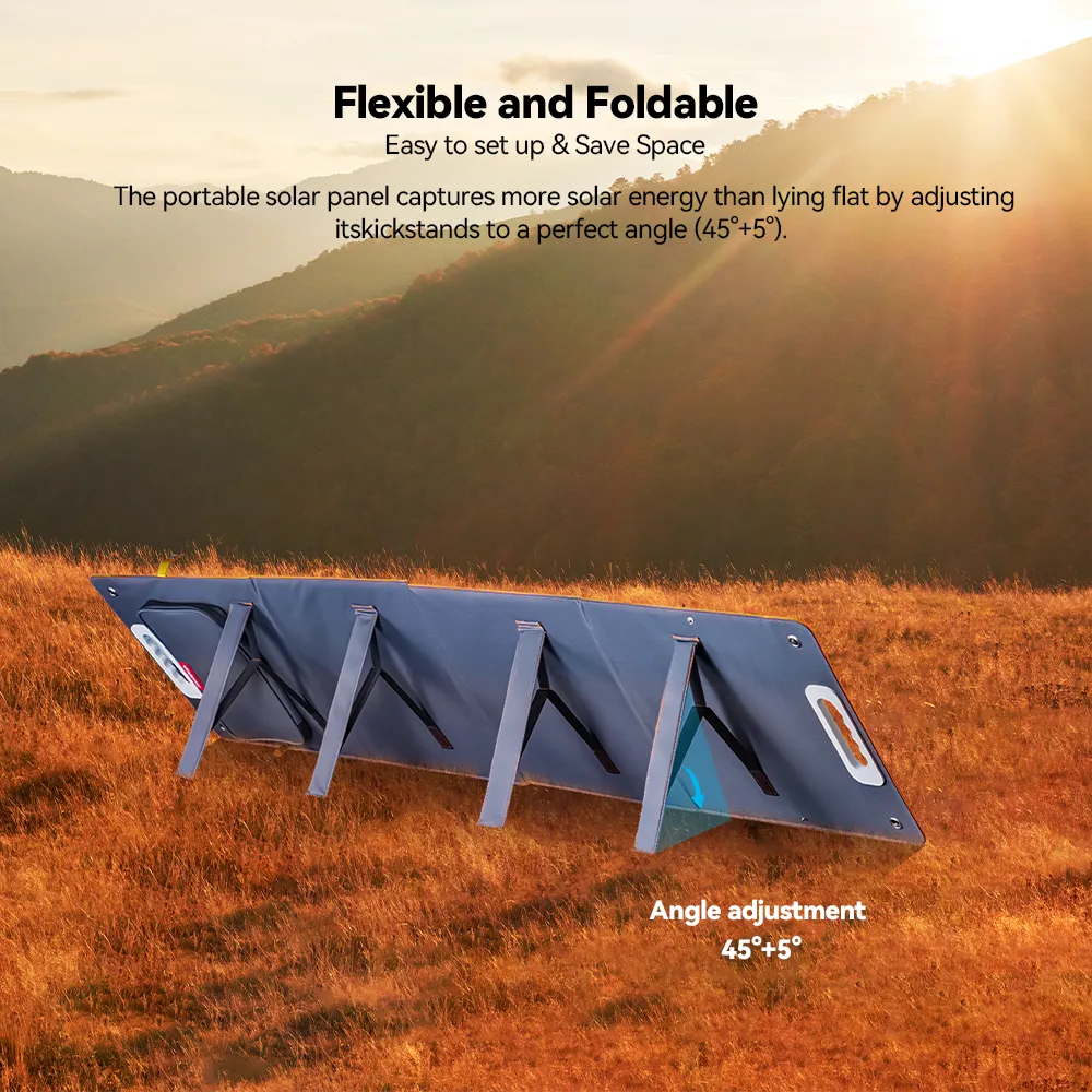 Flashfish P60   TSP100 Solar Generator Kit丨560W 520Wh   100W Solar Panel