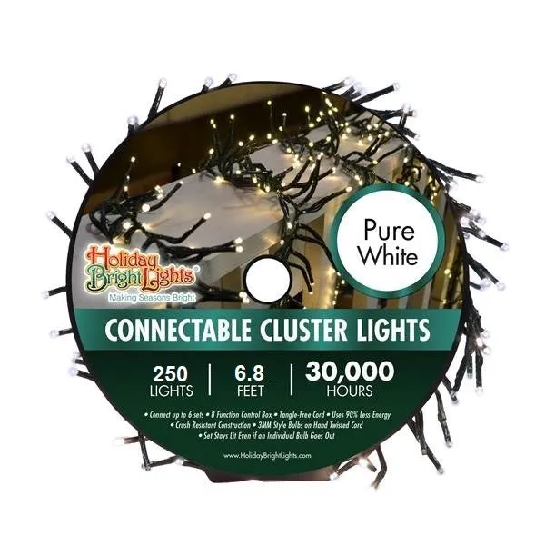 Set of 250 LED Connectable Cluster Lights (6.5 ft)