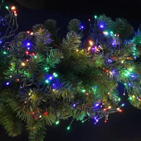 Set of 250 LED Connectable Cluster Lights (6.5 ft)