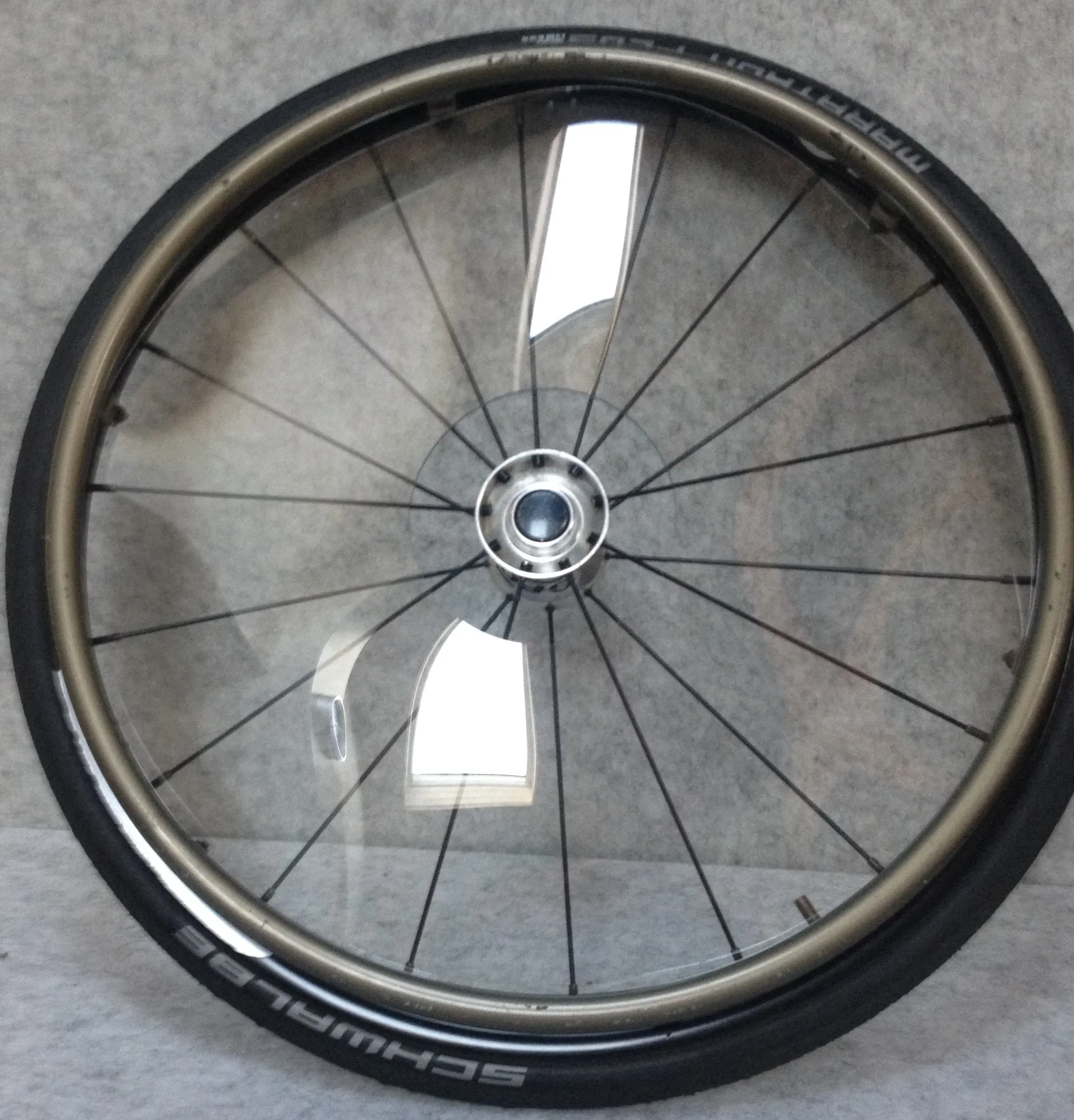 Spoke Guards