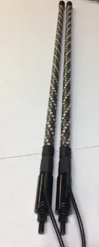 Whip Lights